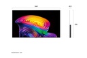 LG OLED65C66LA - gallery_02