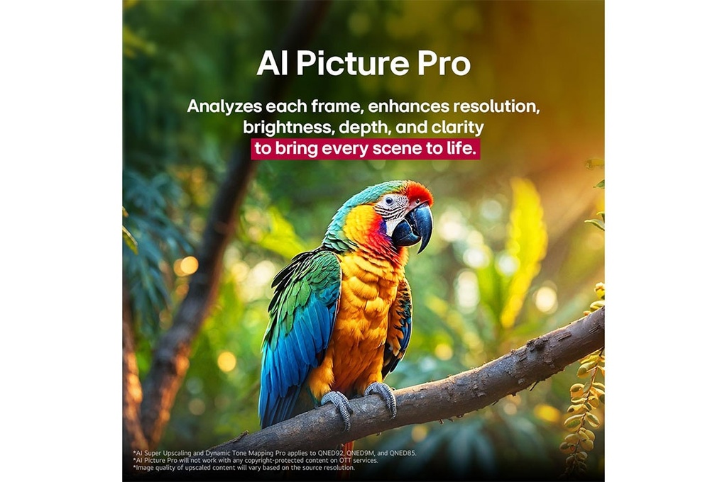 LG 100QNED86A6 - gallery_07
