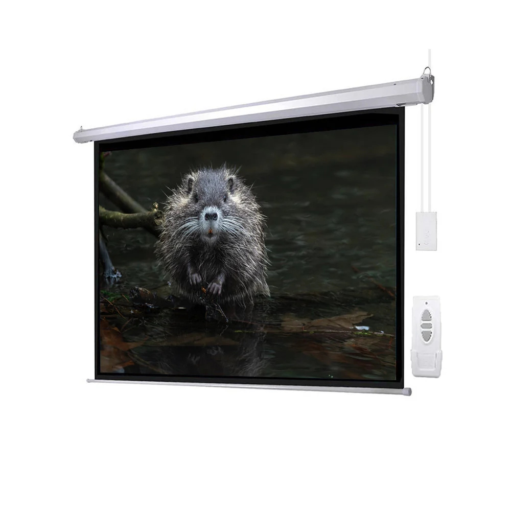 KB Elements Electric Wall Projection Screen – BUEROTIKA BW18-E200