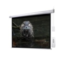 KB Elements Electric Wall Projection Screen – BUEROTIKA BW18-E240